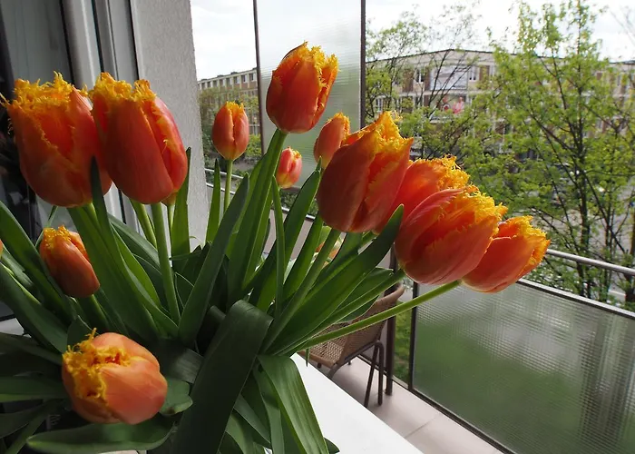 Grand-tourist Marine Ii アパート