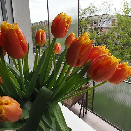 Grand-tourist Marine Ii Lägenhet